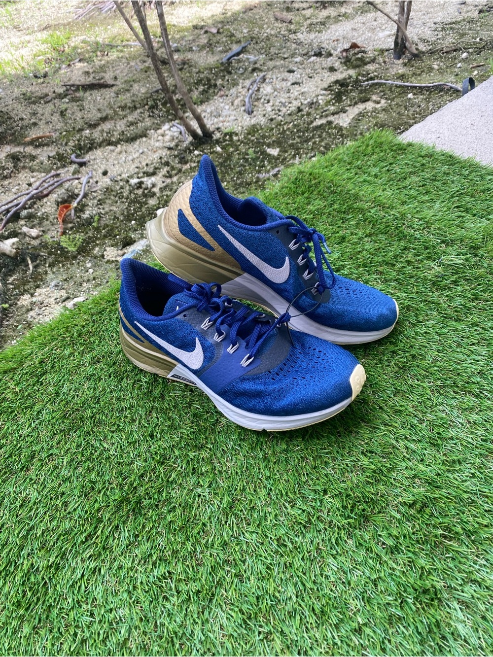 Nike Men's Athletic Running Shoes - Royal Blue with Gold Accents
